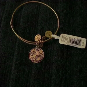 Alex and ani Gold tone Scorpio bangle bracelet